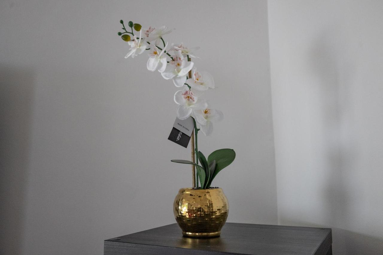 London - 4 Bed - Sleeps 8 - Garden - Pet Friendly Villa Kültér fotó